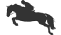 Icon Springpferde