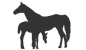 Icon Zuchtstuten